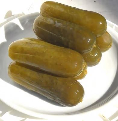 Pickle Kosher